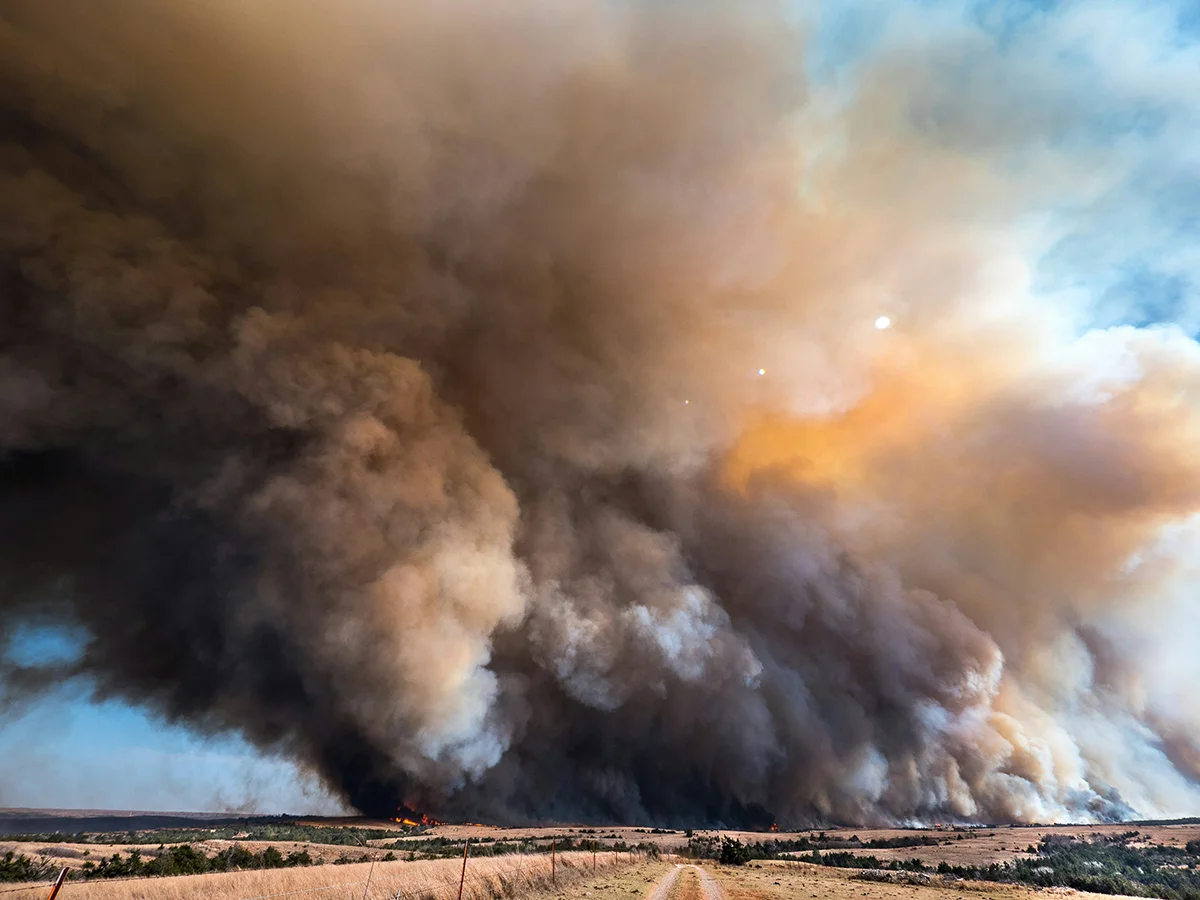 Feu de forêt avec beaucoup de fumée au loin