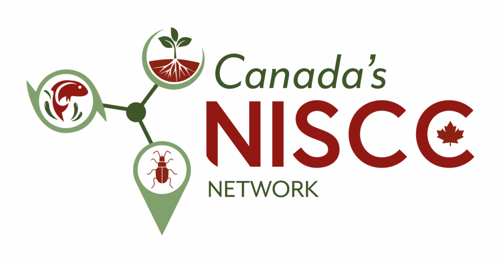 Canada's NISCC Network Logo
